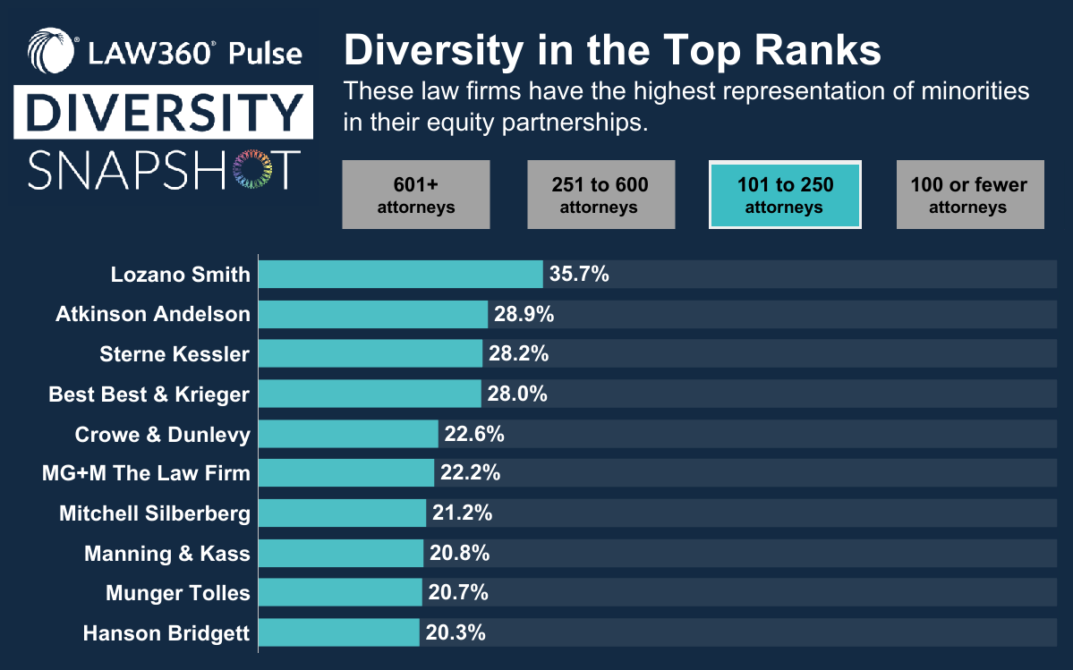 Diverse Equity Partnerships